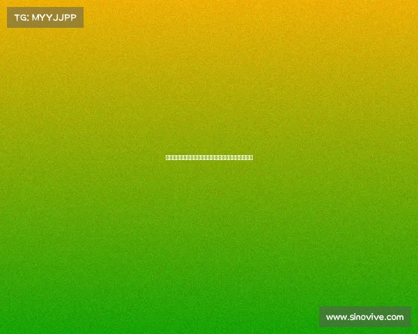 沉默的竞技：诺里与德约冲突背后的性别化竞技友谊解析