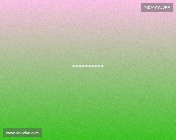 郭士强谈男篮复苏之道及国家队选人标准五大原则