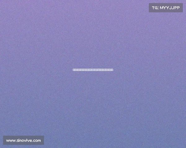 《西甲看球全攻略:赛程分析、球队介绍与观赛技巧详解》