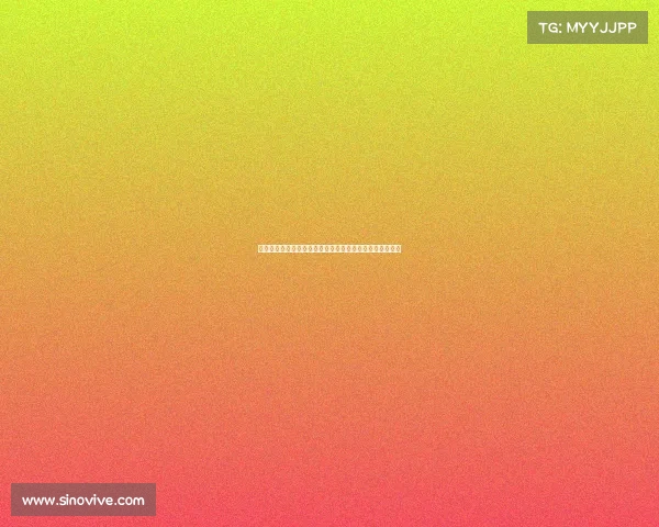 《西甲看球全攻略：赛程分析、球队介绍与观赛技巧详解》