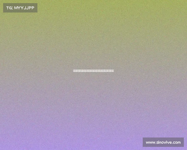 德甲联赛历史与现状分析：豪门竞争与青训体系的双重发展