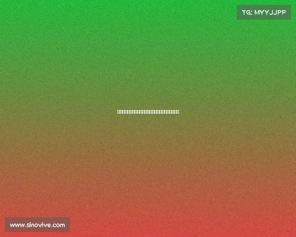 沉默的竞技:诺里与德约冲突背后的性别化竞技友谊解析 沉默的竞技:诺里与德约冲突背后的性别化竞技友谊解析