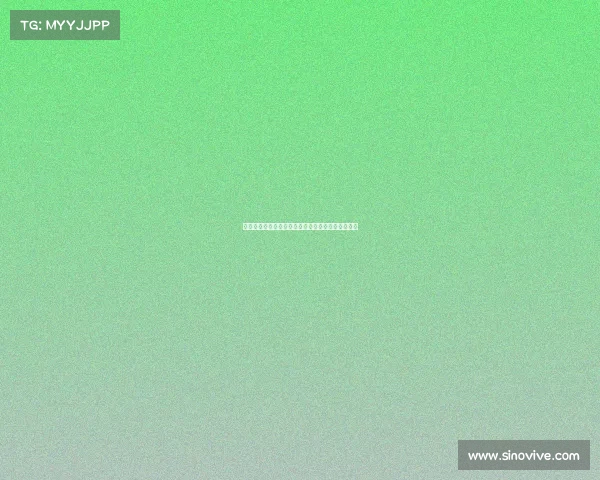 莱比锡新帅明确目标带领球队重返欧战赛场争取资格