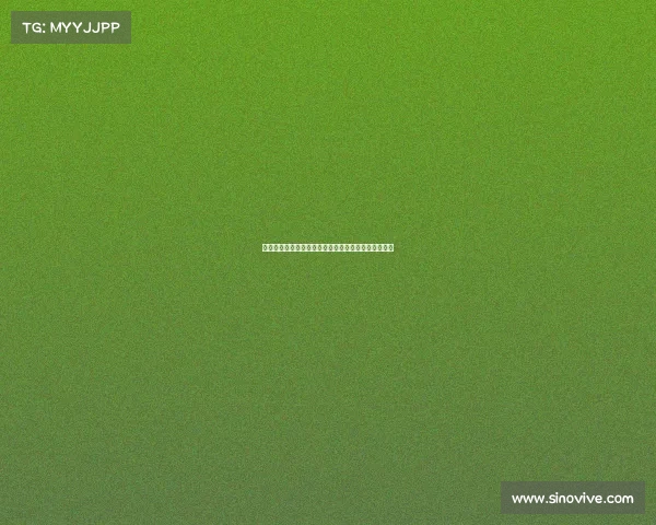 西甲转会市场分析：高额转会费背后的经济与策略考量