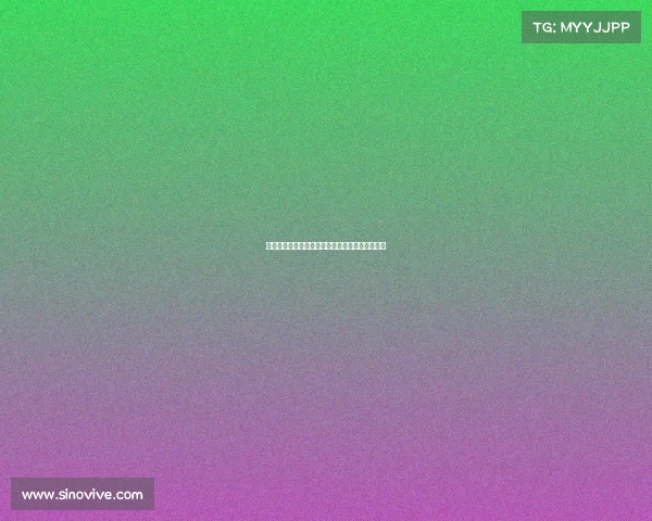 电动方程式罗马站英国车手强势登顶助力车队夺冠